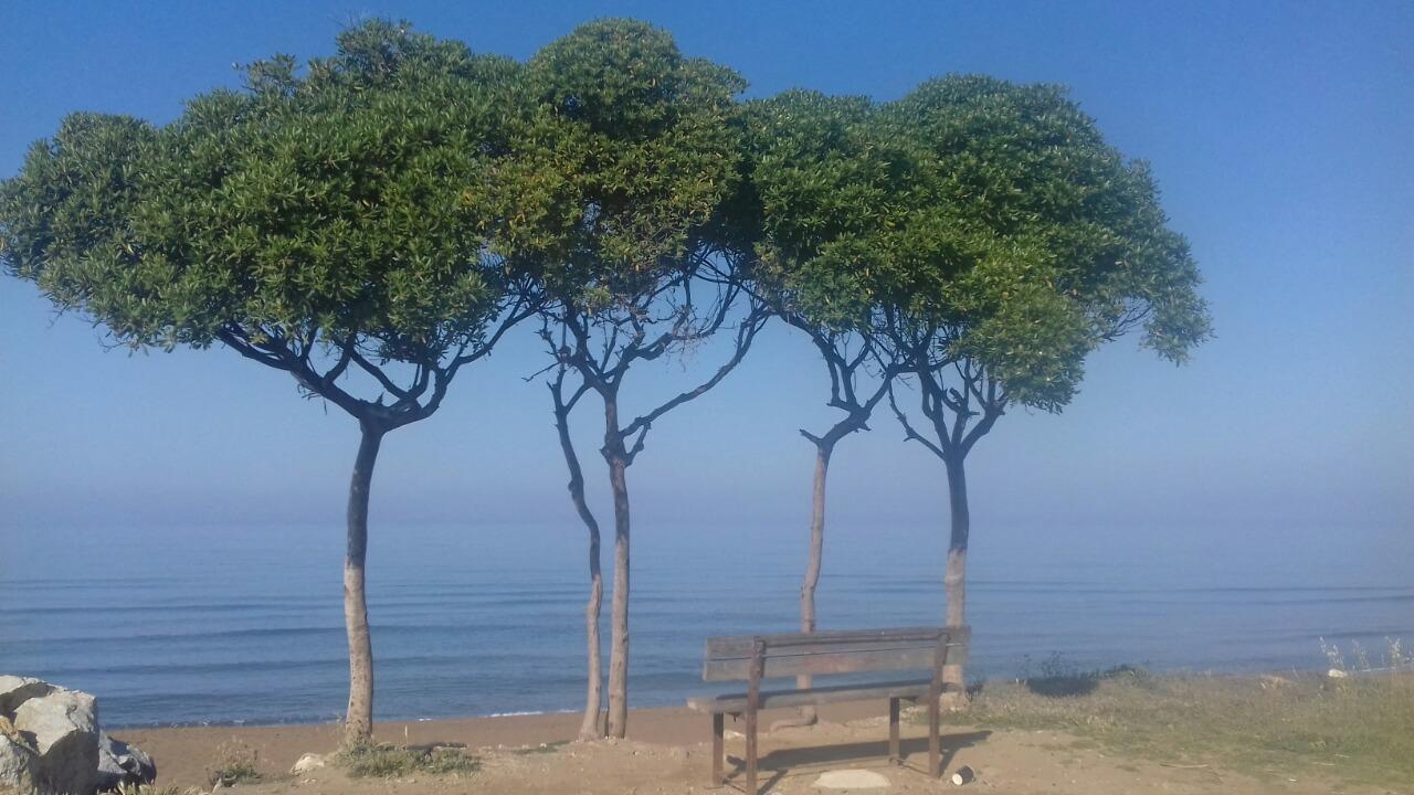 Ionion Star Hotel Θολό Εξωτερικό φωτογραφία
